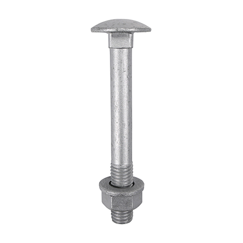 M6 x 100 Carriage Bolt Exterior - SO