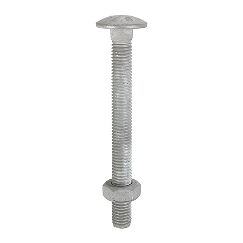 M8 x 100 Carriage Bolt & Hex Nut - HDG