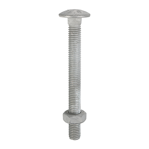 M8 x 130 Carriage Bolt & Hex Nut - HDG