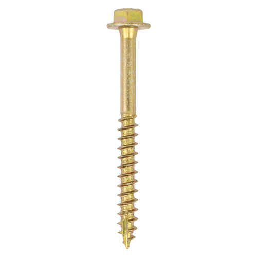 10.0 x 70 Solo Coach Screw ZYP