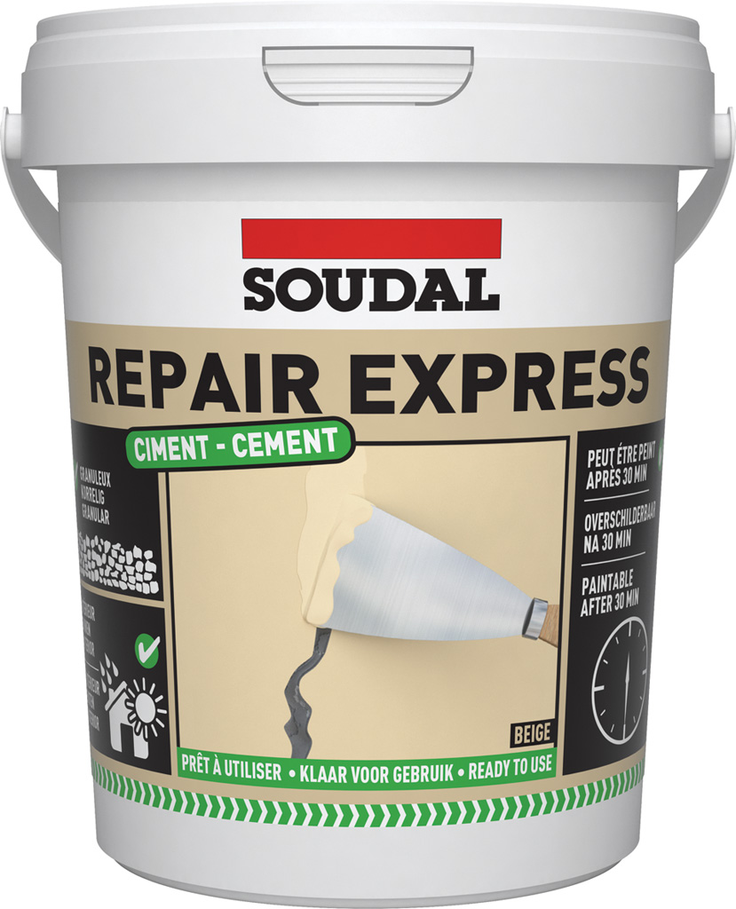 REPAIR EXPRESS CEMENT BEIGE 900ML