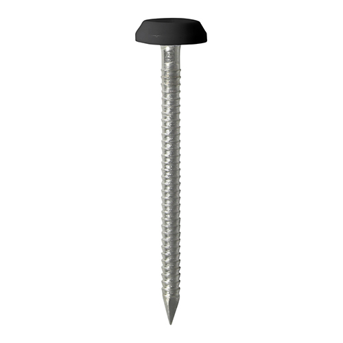 50mm Polymer Headed Nail - Black