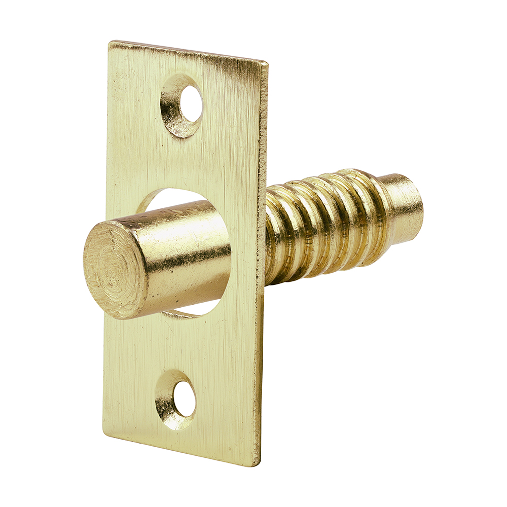 Hinge Bolt